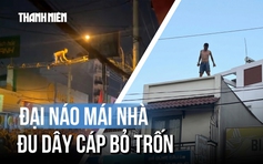 'Người lạ' nghi ngáo đá đại náo mái nhà, đu dây cáp bỏ trốn