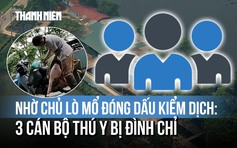 Nhờ chủ lò mổ đóng dấu kiểm dịch thịt lợn: 3 cán bộ thú y bị đình chỉ