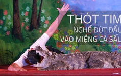 Sự thật ít người biết: Thót tim với nghề đút đầu vào miệng cá sấu