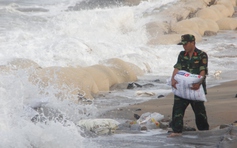 [ẢNH] Cả trăm người ứng cứu bờ biển bị sạt lở do sóng đánh