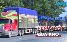 Xe chở dăm cơi nới thành xe quá khổ tung hoành quốc lộ 9