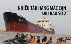 4 tàu hàng trọng tải lớn mắc cạn sau bão số 2