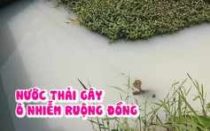 Dân bức xúc truy tìm nguồn gốc nước thải gây ô nhiễm ruộng đồng