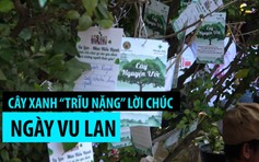 Cây xanh trong chùa “trĩu nặng” lời cầu chúc Ngày Vu lan