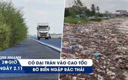 Xem nhanh 20h ngày 2.11: Cỏ dại tràn vào cao tốc | Biển số định danh 'mất tích' bí ẩn