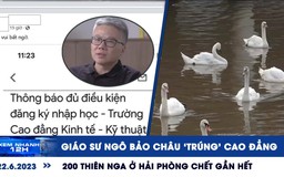 Xem nhanh 12h: Giáo sư Ngô Bảo Châu ‘trúng tuyển’ cao đẳng | 200 con thiên nga sông Tam Bạc sắp biến mất