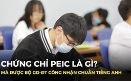 Chứng chỉ PEIC là gì mà Bộ GD-ĐT công nhận chuẩn tiếng Anh?