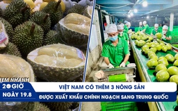 Xem nhanh 20h ngày 19.8: Ngày vui nông sản Việt Nam - sầu riêng đông lạnh được cấp phép vào Trung Quốc