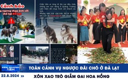 Xem nhanh 12h: Toàn cảnh vụ ngược đãi chó ở Đà Lạt | Xôn xao trò giẫm gai hoa hồng