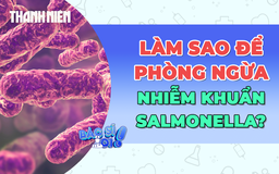 Cẩn thận nhiễm khuẩn Salmonella từ thực phẩm quen thuộc!
