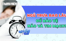 Nên ngủ trưa bao lâu để bảo vệ não và tim mạch?