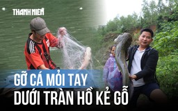 Hồ Kẻ Gỗ đóng cửa xả tràn: Người dân kéo cá mỏi tay, thu tiền triệu