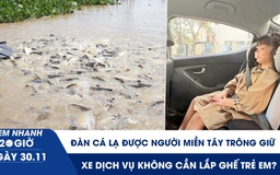 Xem nhanh 20h ngày 30.11: Đàn cá lạ được người miền Tây trông giữ | Xe dịch vụ không cần lắp ghế trẻ em?