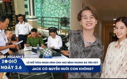 Xem nhanh 20h ngày 2.6:  Lò mổ thừa nhận hình ảnh heo bệnh là có thật | Jack có quyền nuôi con không?