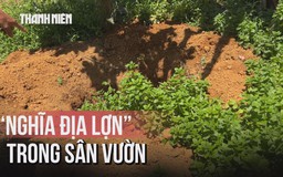 Lợn chết hàng loạt ở Huế, người dân đào sẵn 'nghĩa địa' sau vườn