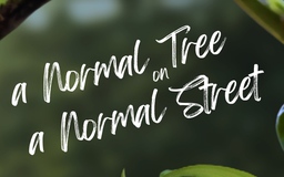 'A normal tree on a normal street' | Cuộc thi phim ngắn Vietnamese 2025