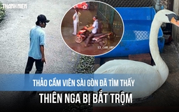 Thảo Cầm Viên Sài Gòn đã tìm thấy con thiên nga bị bắt trộm