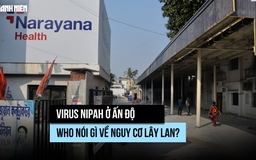 Virus Nipah ở Ấn Độ: WHO nói gì về nguy cơ lây lan?