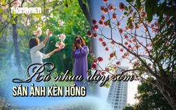 Rủ nhau dậy sớm săn ảnh kèn hồng ở TP.HCM