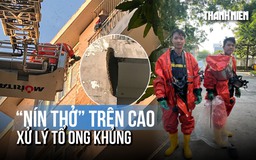 Nín thở trên cao xử lý tổ ong 'khủng' trong khu dân cư ở TP.HCM