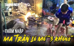 Thâm nhập những lò mổ '3 không': Sốc với cảnh 'hóa kiếp' trâu bò trên nền đất 