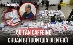 Cận cảnh 50 tấn caffeine 'núp bóng' bao xi măng, thức ăn chăn nuôi