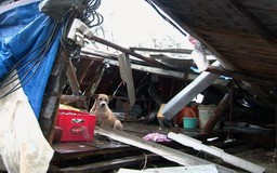 Tâm bão số 10 đi vào Quảng Bình, tàn phá quê nghèo
