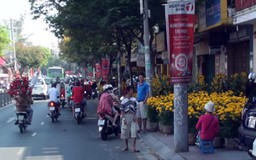 Sài Gòn thanh bình chiều cuối năm Quý Tỵ