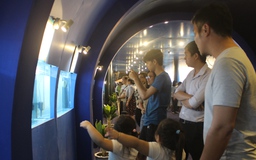 Người dân Sài Gòn chiêm ngưỡng các loại cá lạ