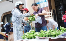 Người Sài Gòn cật lực bán - mua chuối già hương giúp bà con Đồng Nai