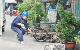 Bắt chó chạy rông, xử phạt theo Nghị định từ hôm nay: Chủ mếu máo xin 'tha'