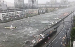 Siêu bão Jebi khiến 11 người thiệt mạng tại Nhật