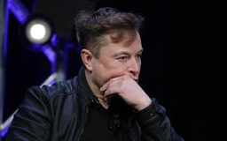 Elon Musk 'suy nghĩ nghiêm túc' thành lập mạng xã hội