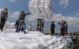 Tháng 9: Giá gạo Việt Nam và Thái Lan giảm, gạo Ấn Độ tăng mạnh