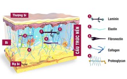 Bí quyết giữ mãi làn da tươi trẻ