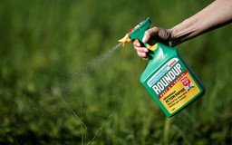 Monsanto phải bồi thường vì thuốc diệt cỏ Roundup