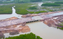 Quyết cứu hàng nghìn ha rừng, chính quyền bỏ làm đường mà xây cầu trên cao tốc