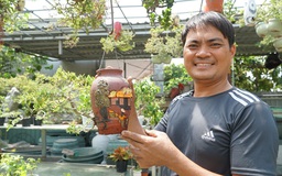 Anh nông dân đổi đời nhờ cưới vợ Huế: Sáng tạo bonsai ngược độc lạ