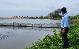 Bà Rịa - Vũng Tàu: Đất công mặt tiền biển Bình Châu bị chiếm dụng hàng chục ngàn mét vuông