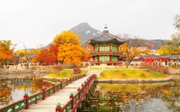 Tín đồ du lịch Đà Lạt, Cần Thơ có thể bay thẳng Seoul chỉ với 280.000 đồng