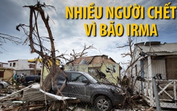 Bão Irma tàn phá Caribbean, nhiều người thiệt mạng