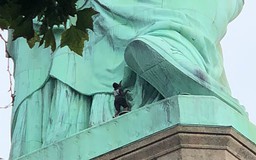 Khu vực tượng Nữ thần Tự do phải sơ tán vì có người leo lên tượng