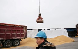 Thương mại Trung Quốc ảm đạm, ảnh hưởng kinh tế toàn cầu