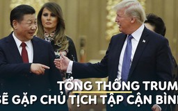 Tổng thống Trump sẽ gặp Chủ tịch Tập Cận Bình tại G20, nhen nhóm hy vọng hòa giải thương mại