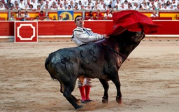Đấu bò: nạn nhân mới nhất của Covid-19 tại Tây Ban Nha?