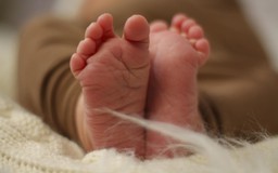 Em bé sinh trong đại dịch Covid-19 có thể bị chậm phát triển?