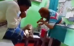 Bất ngờ khỉ bị thương tự tìm bác sĩ điều trị