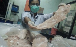 Thêm 1,2 tấn vú heo thối 'biến thành' vú dê nướng bị bắt ở Sài Gòn