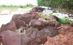 Đổ hàng ngàn mét khối bùn thải ra môi trường