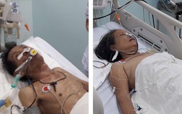 Ăn nhộng ve sầu, 5 người nhập viện nghi do bị ngộ độc